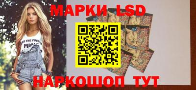 амф Донской