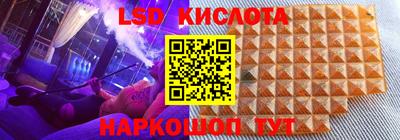 амф Донской