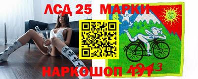 гашик Донецк