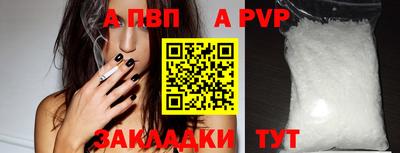 гашик Донецк