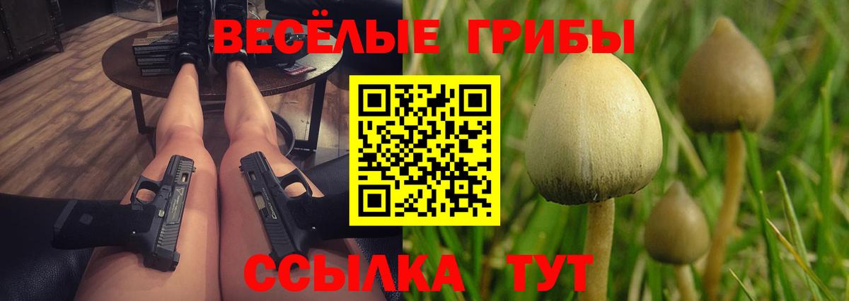 Псилоцибиновые грибы Psilocybine cubensis Минусинск